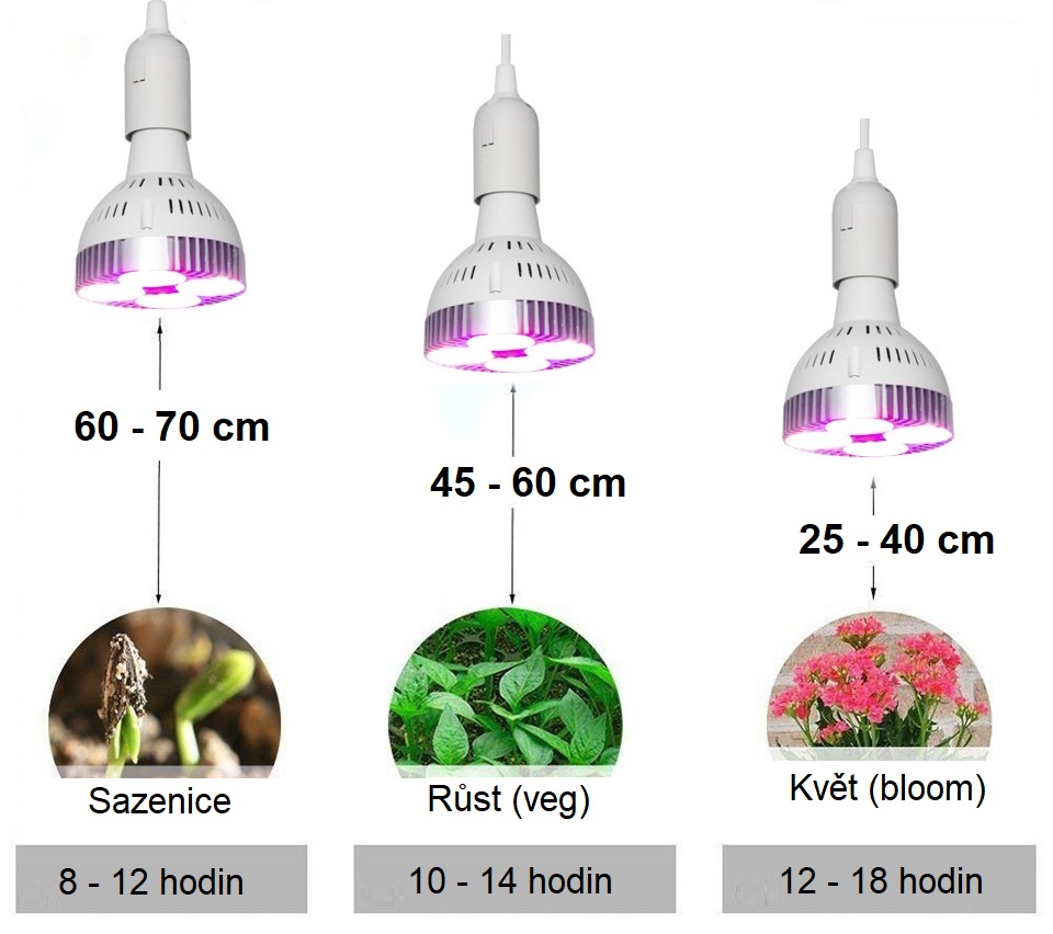 jak svitit led zarovkou 30w cf